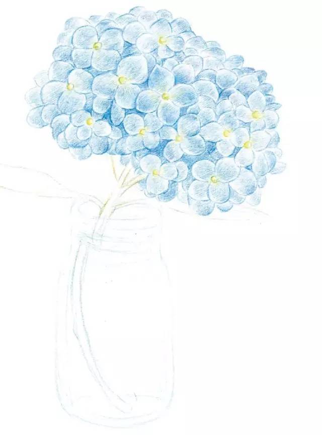 彩铅画绣球花,方法简单易学!