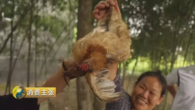永州夜市霸屏央视25分钟，看到这些美食口水流了一地