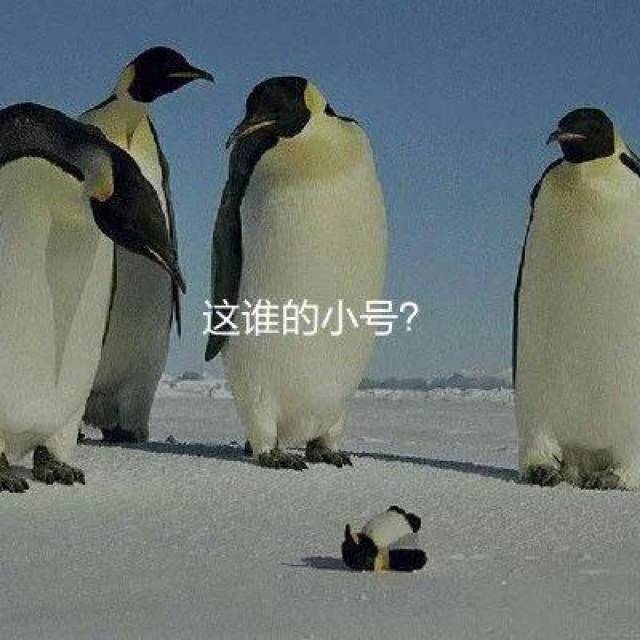 搞笑表情包:让一让啊,我朋友伤的很重啊_手机搜狐网