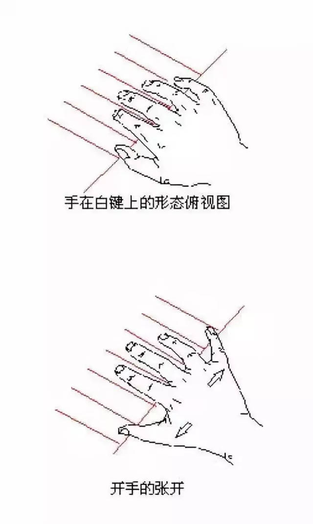 弹钢琴的正确手势简图