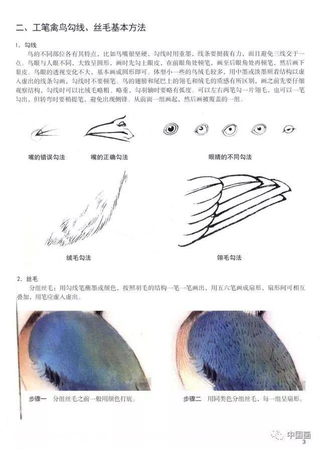 工笔禽鸟勾线,丝毛的基本方法