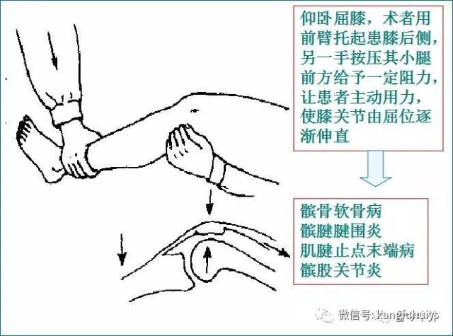 伸膝抗阻试验