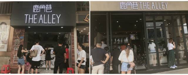 喝了1杯假鹿角巷后!连夜写出这篇攻略:4招教你