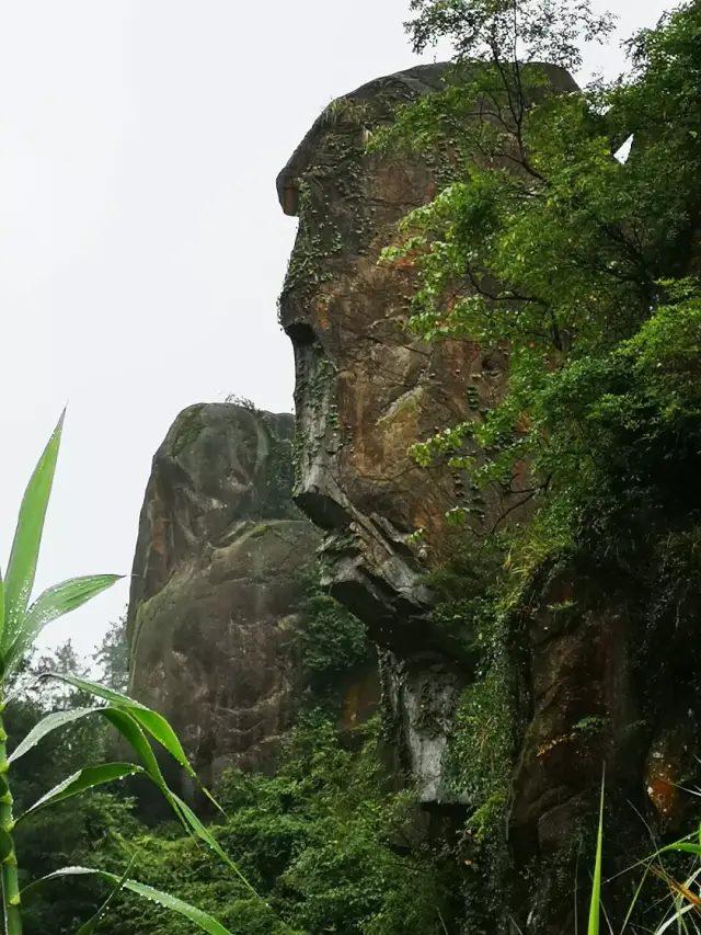 寻景垫江:东印茶山旁,还有这么一处特别的风景