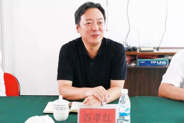 市委常委,组织部长谷孝红到隆昌镇指导党支部专题民主生活会
