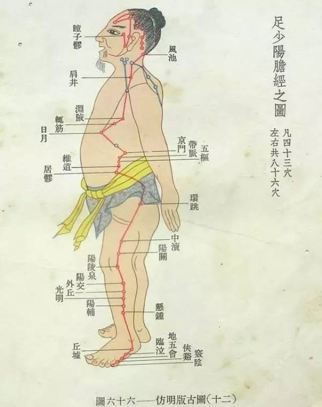 刺激胆经可以补气血