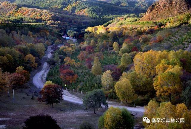 塞罕大峡谷位于森林公园西南大唤起梨树沟景区,此处山高壑翠,松桦