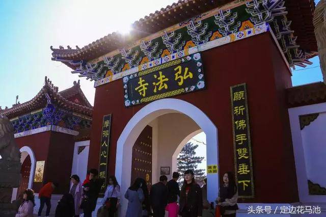 定边旅游攻略——人间八月芳华始,邂逅荞麦花开时