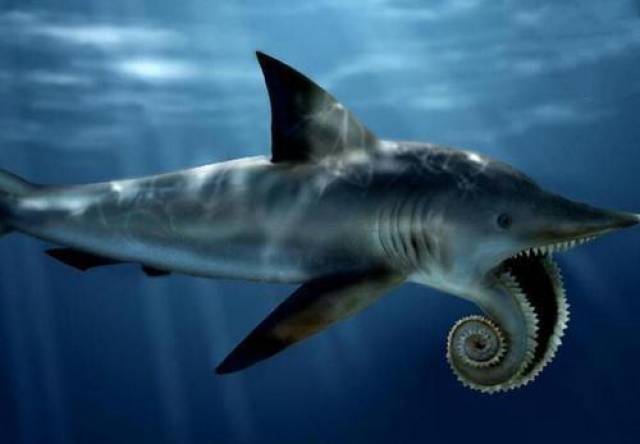 地球上10大已灭绝的巨型古生物,体长2米的虾,以恐龙为