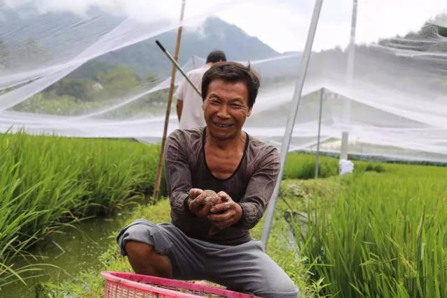 李章兴一边忙着帮李素英打捞准备出售的泥鳅,一边高兴地说"靠泥鳅