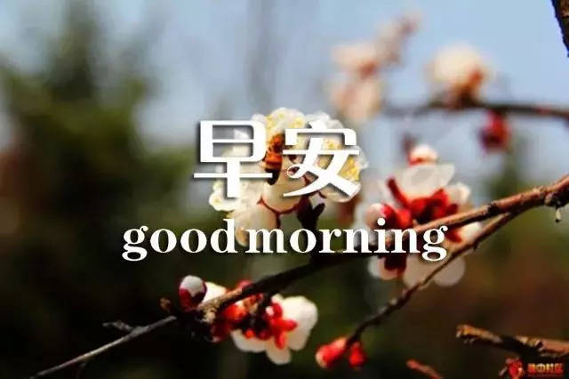 人物情感图片带字伤感 (第1页) 图说健康