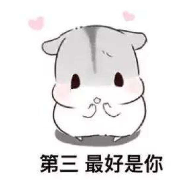 【搞笑表情包小师妹宣】 【表情图片添加到微信表情的方法】 保存图片