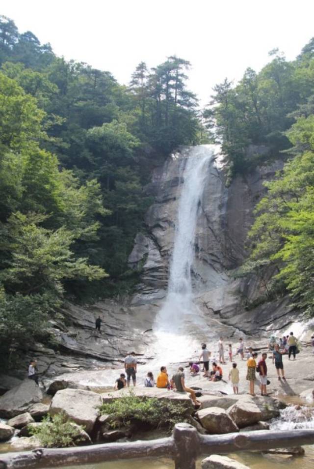 一群平均60岁的小年轻,挺进大别山,揭开灵芝仙草的长寿秘密