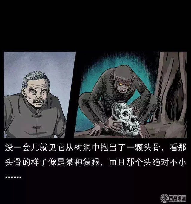 陈老狗