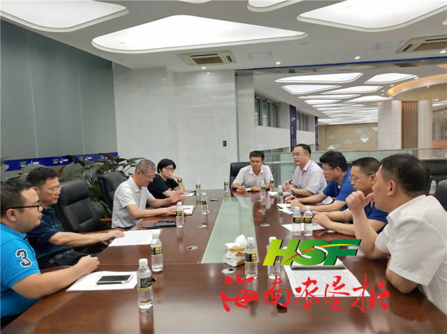 杨志成到海垦广场调研
