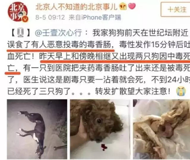 毒死狗的"异烟肼"是种什么药?真的对人体无害吗?