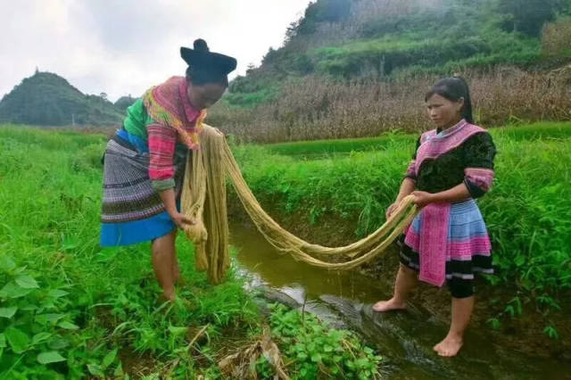 看这个地方苗族如何把麻做成穿在身上的艺术