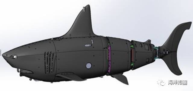 CCTV报道:ROBOSEA仿生鲨鱼机器人,噪音小