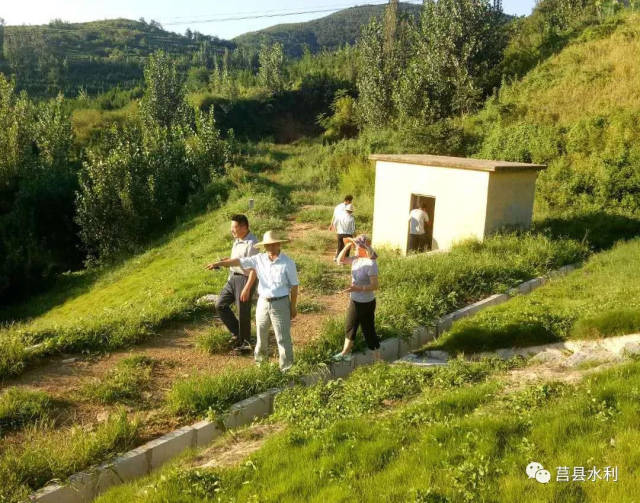 检查龙山镇王家山水库溢洪道坝背坡排水体情况