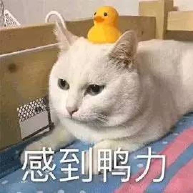 这些沙雕微信群名,看完不笑算我输!