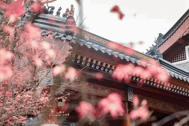 屋顶上那些看似肃穆实则萌萌的瑞兽俨然成了屋脊上一抹靓丽的艺术风景