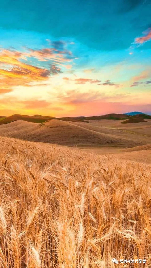 手机最美风景壁纸竖屏