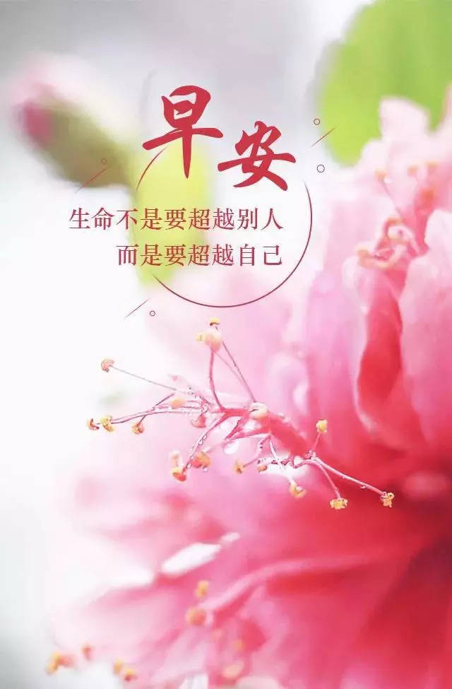 最美早安图片带字励志 早晨激励人心的正能量励志句子