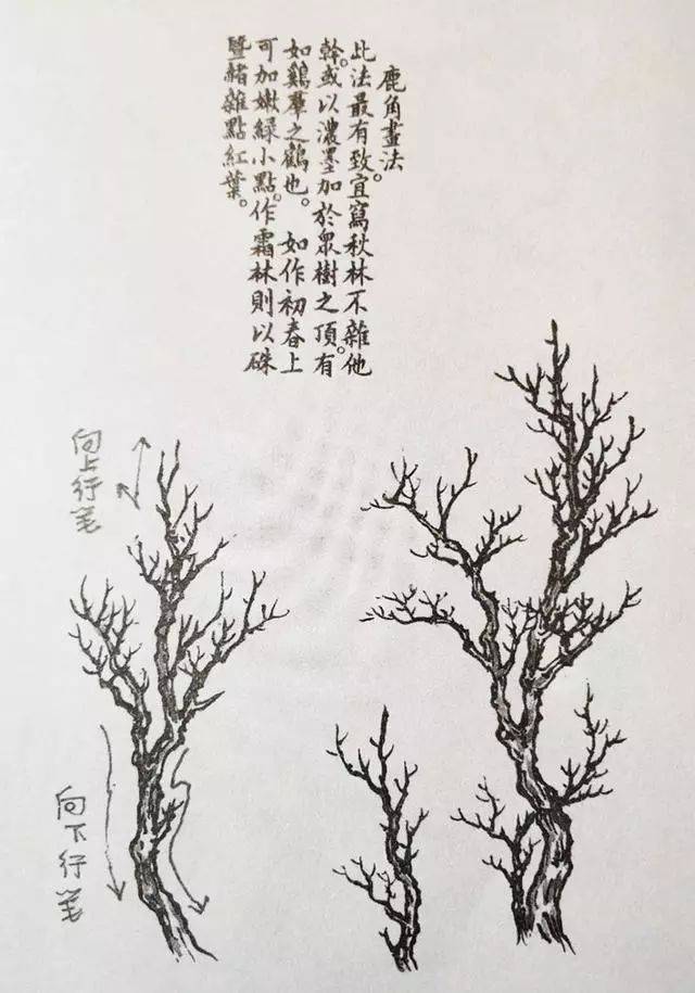 学画山水画,首先要学会画树,学画树先学画枯树