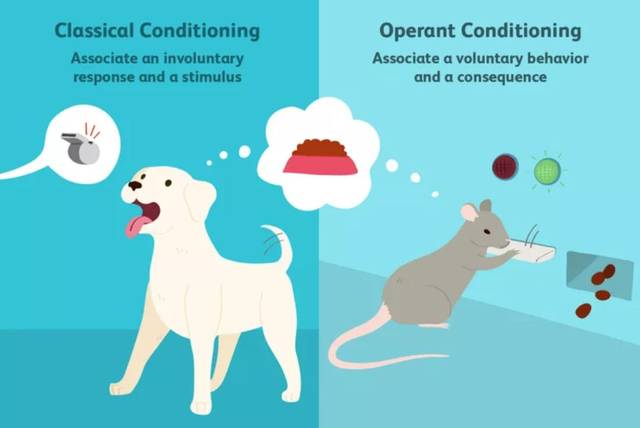 com/classical-vs-operant-conditioning-2794861 第二种避免过载的