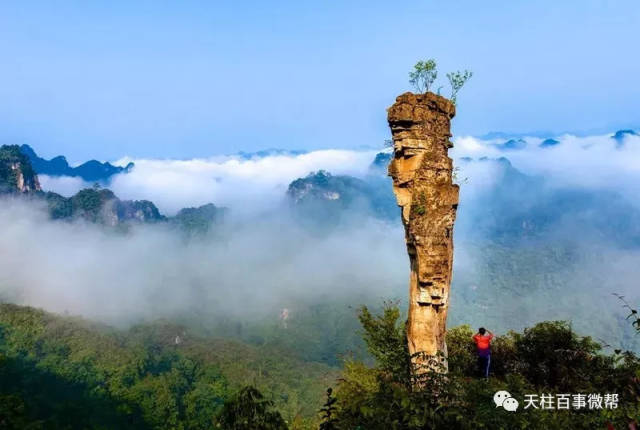 黔东南各县人口_黔东南州各市县面积人口 黎平县面积最大,凯里市人口最多