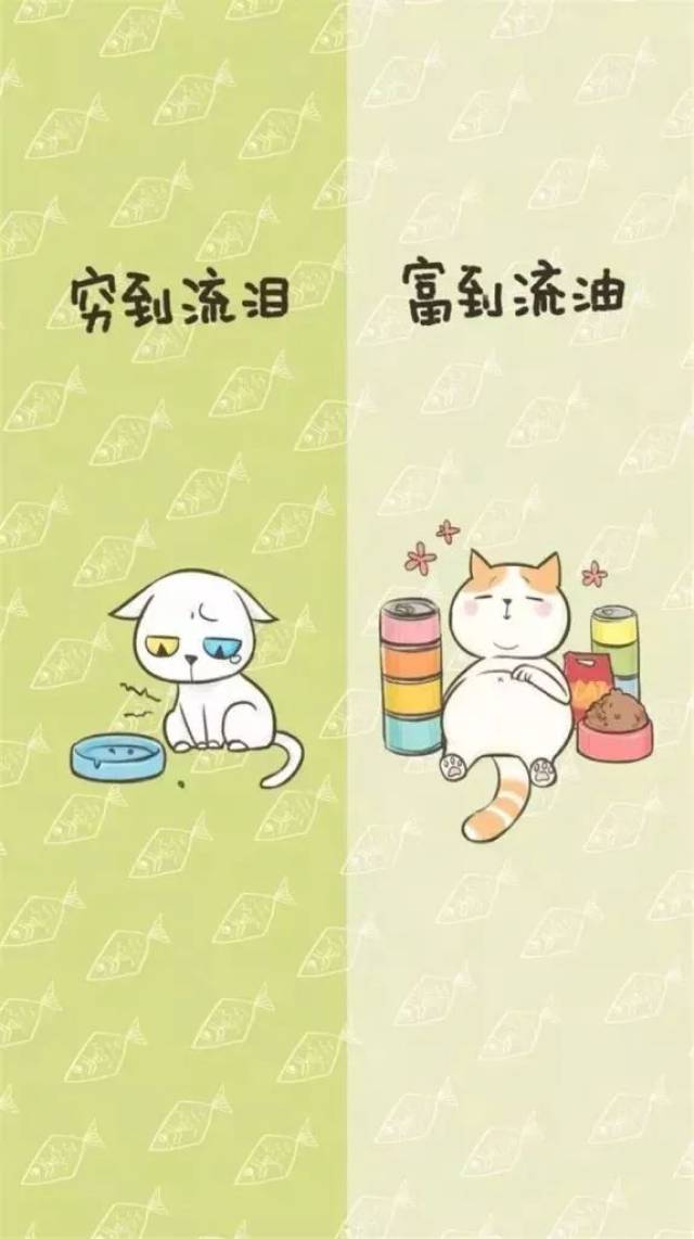 隔离区微信聊天壁纸背景