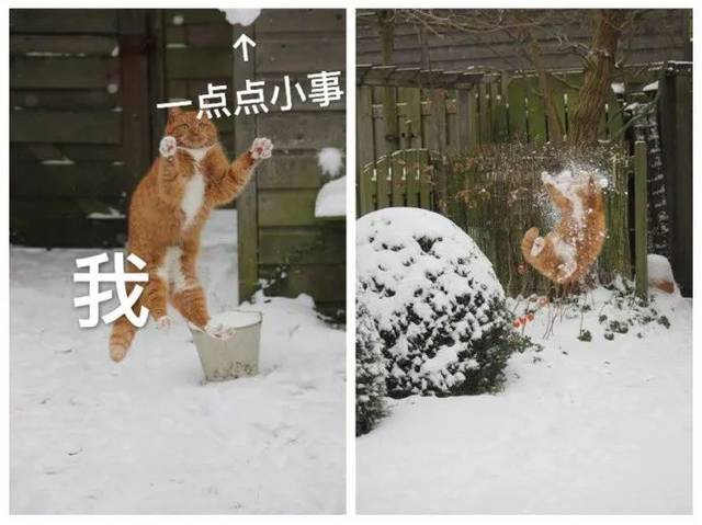 生活真是太苦了!