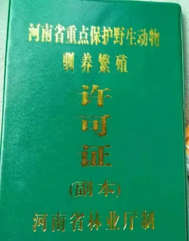 购买人工繁殖的鹦鹉竟也要判刑?看看专家怎么说