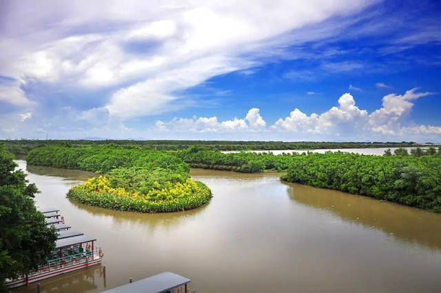 地南沙湿地位于广州最南端地处珠江出海口西岸的南端是广州市最大的湿地