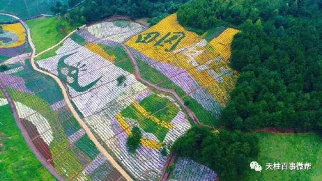 黔东南16县市人口数量公布!常住人口数量排名