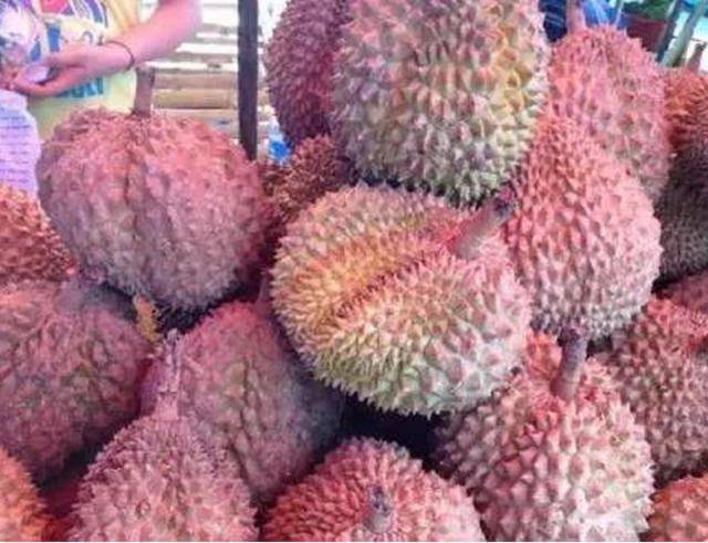 不是转基因的,这种红肉品种的榴莲,更臭,更甜,更贵