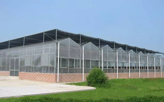 自然资源部,农业农村部联合在全国开展"大棚房"问题整治行动!图片