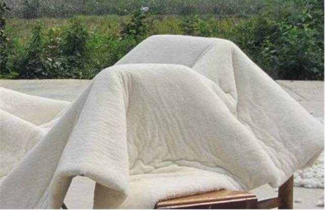 不用药,不用晒,螨虫们哭着闹着爬到这个除螨包