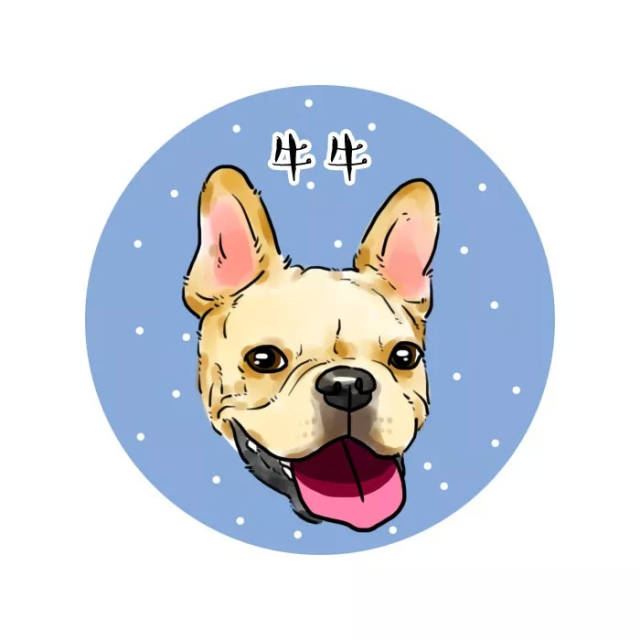 宠物斗牛犬可爱卡通漫画头像,你来嗮我来画!