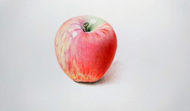 怎样用彩铅画一个写实的苹果,详细教程来啦,别错过!