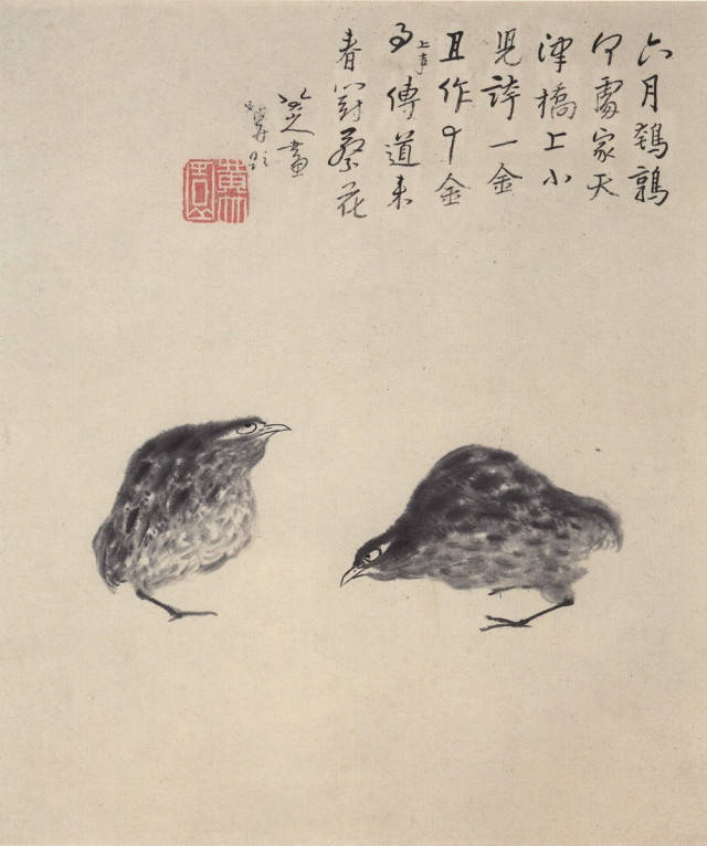 八大山人 花鸟画册之二 六月-鹌鹑 上海博物馆藏
