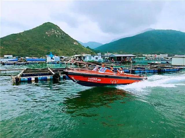 深圳,湛江,汕头…各大渔港疯狂刷屏!