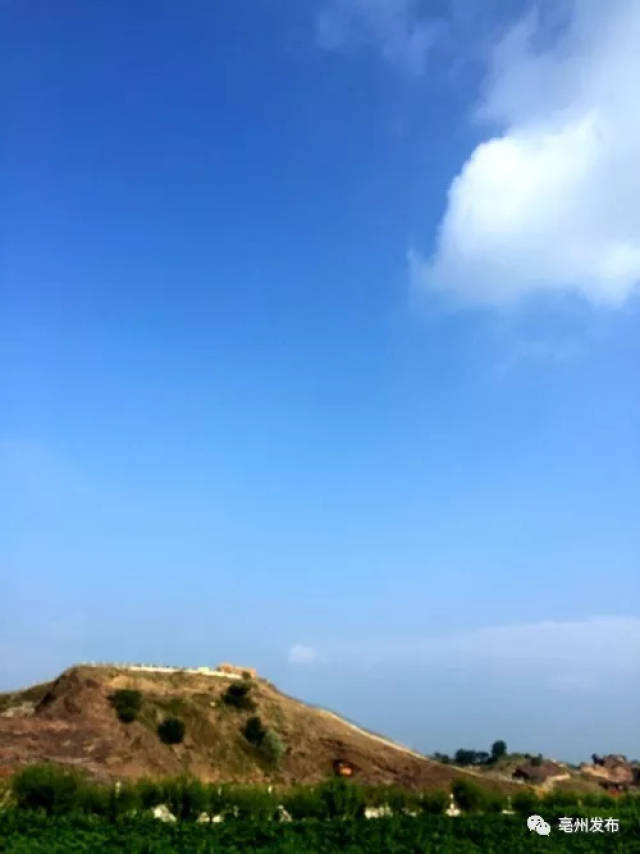 涡阳的这座山,曾是三县一区最高峰!现如今.