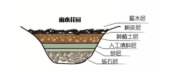 怎么营造雨水花园?