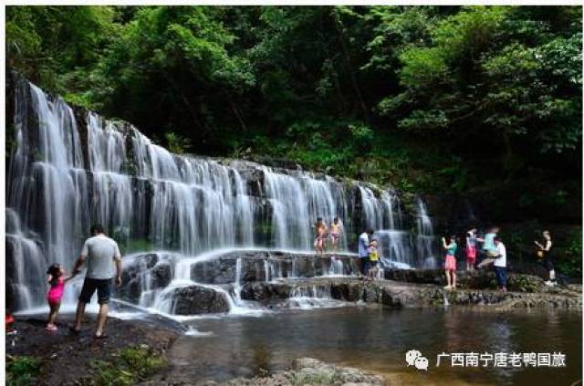 9月1日,2日横县赏茉莉花,九龙瀑布群森林公园爽爽一日游,费用:58元/人