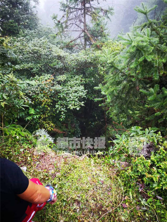 “滴滴顺风车案”警方查到更多细节：女孩遇害前被迫给司机转账9000元