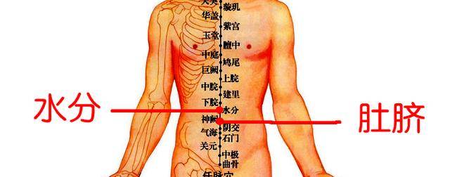 痰湿体胖,湿热乱五脏,手把手教你用中医穴位按摩法清除体内湿气