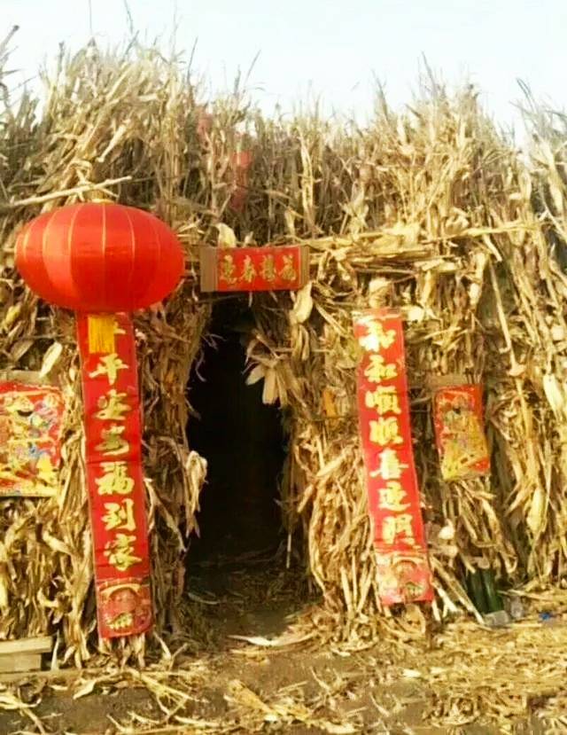 搞笑趣图:妹子你回来去苞米地干啥