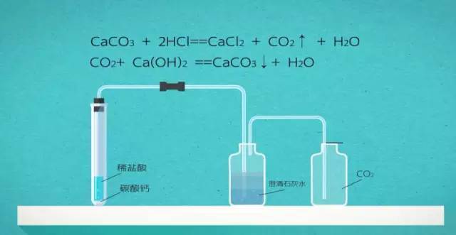 珍珠的产生 碳酸盐和碳酸氢盐的鉴定 实验室用碳酸钙和稀盐酸反应制取