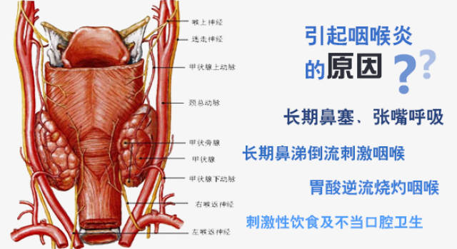 慢性咽炎与咽喉癌的区别在于什么?